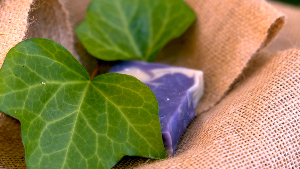Soap bar between two leaves